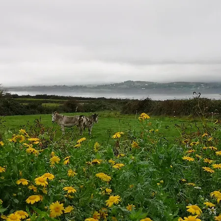 Apartman Roaringwater