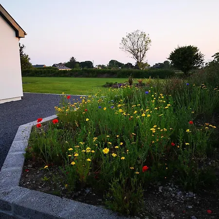 Roaringwater * Skibbereen