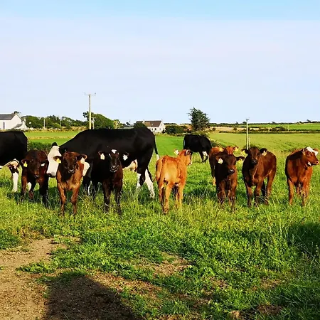 Roaringwater Appartamento