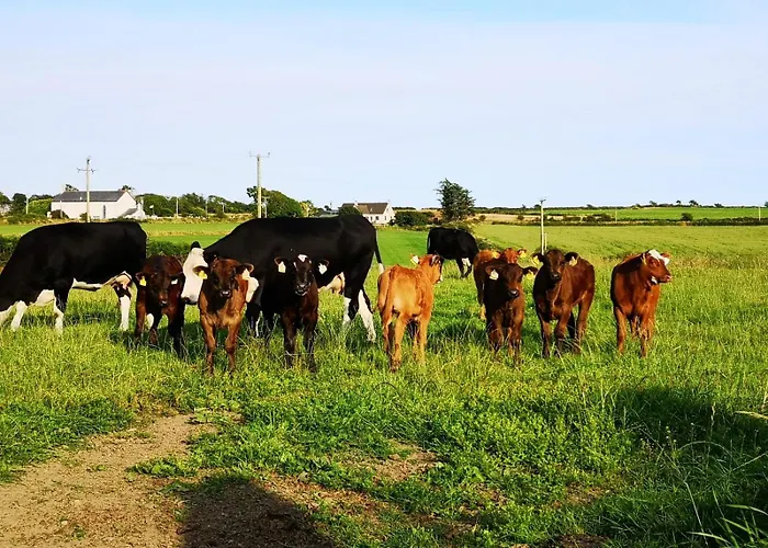 Roaringwater Appartement